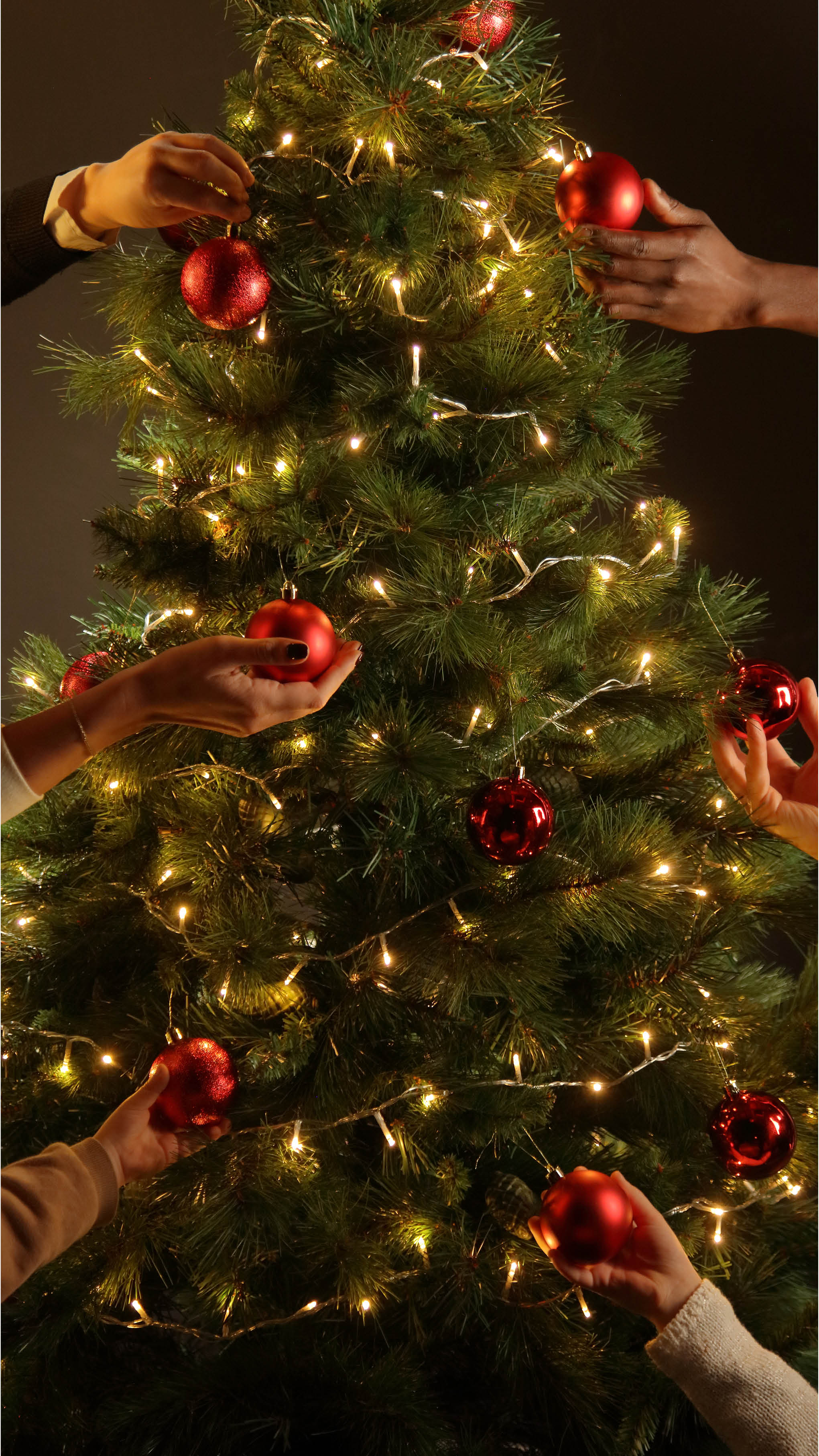 Campagna di Natale 2025